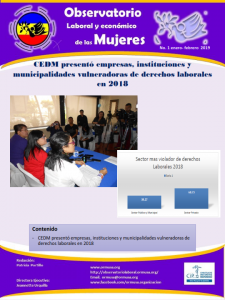 Lee más sobre el artículo Boletina Enero – Febrero 2019