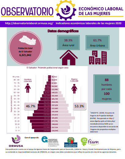 Lee más sobre el artículo Indicadores económicos laborales de las mujeres 2020