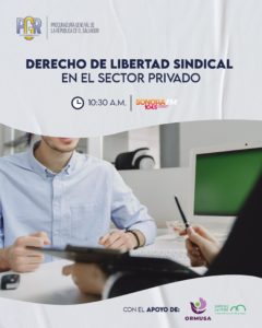 Lee más sobre el artículo Derecho de libertad sindical en el sector privado