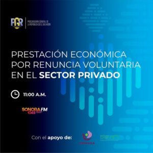 Lee más sobre el artículo Presentación económica por renuncia voluntaria en el Sector privado