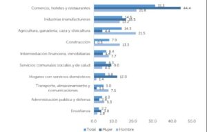 Lee más sobre el artículo Persiste mayor presencia de mujeres en sectores de comercio, hoteles, restaurantes, industria manufacturera y hogares con servicio doméstico