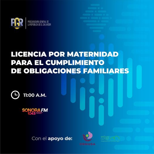 Lee más sobre el artículo Licencia por maternidad para el cumplimiento de obligaciones familiares