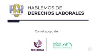 Lee más sobre el artículo La autonomía económica de las mujeres y la visibilidad del trabajo de los ciudadanos