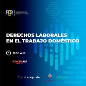 Lee más sobre el artículo Derechos laboral en el trabajo domestico